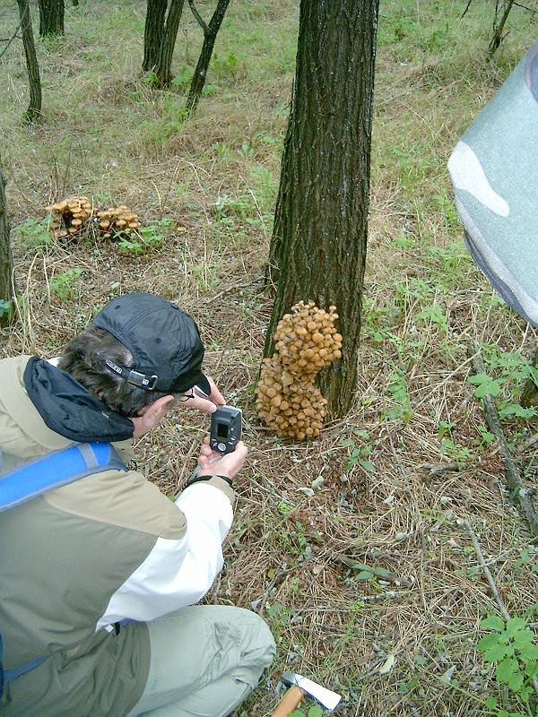 2010.10.10. 022.jpg